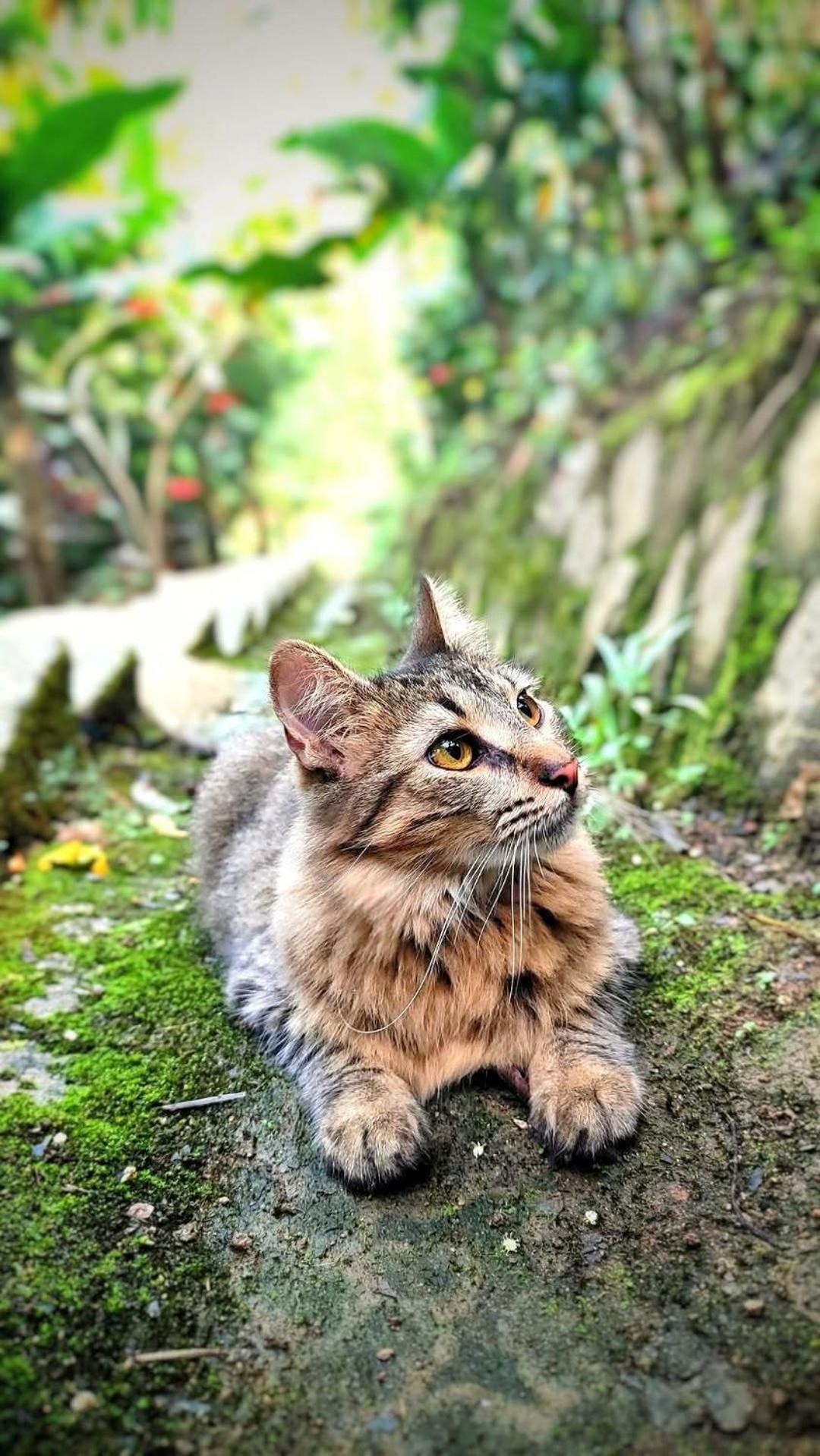 Willa El Eden Minca Zewnętrze zdjęcie